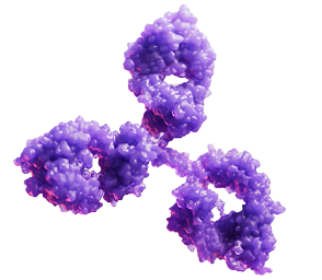 Graphic representing insoluble plaque
